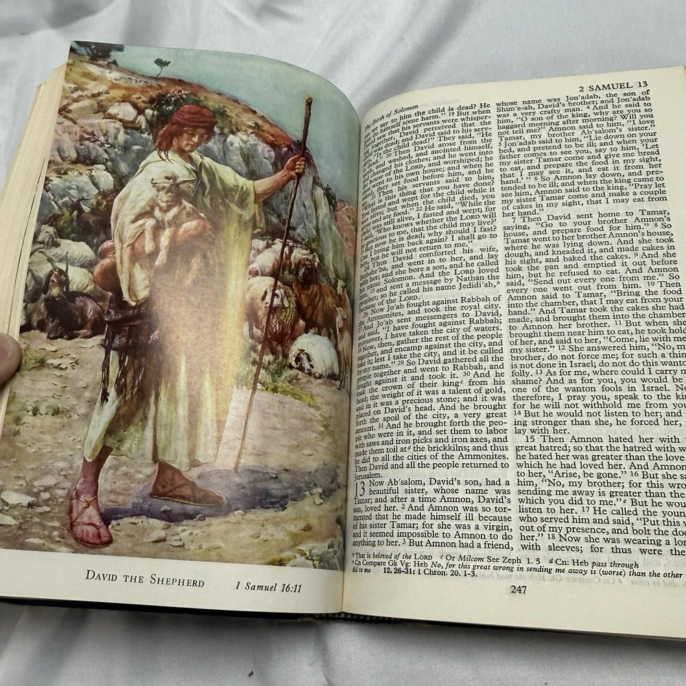 Holy Bible/ Revised Standard Version/ Illustrated: Thomas‎ Nelson & Sons, 1952